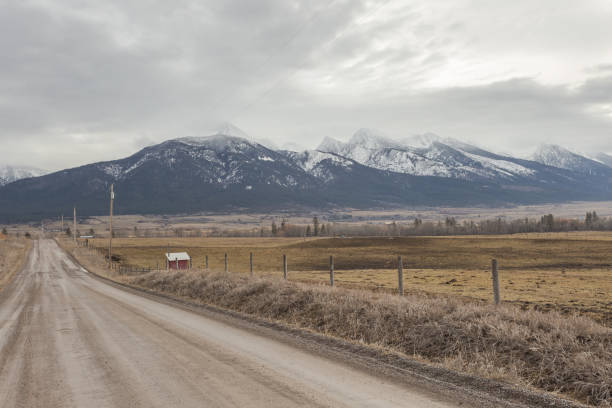 istock Empty dirt road alongside vintage cattle fencing 1208199005