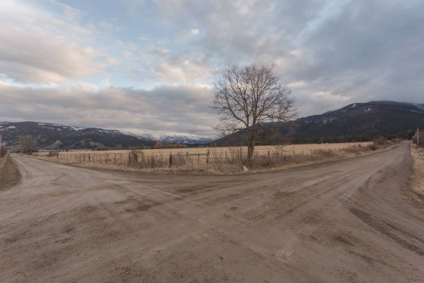 istock Dirt crossroad with barren tree and mountain range in background 1208199225