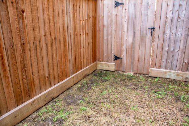 istock Fenced-In Yard of Dead Grass 1208200335