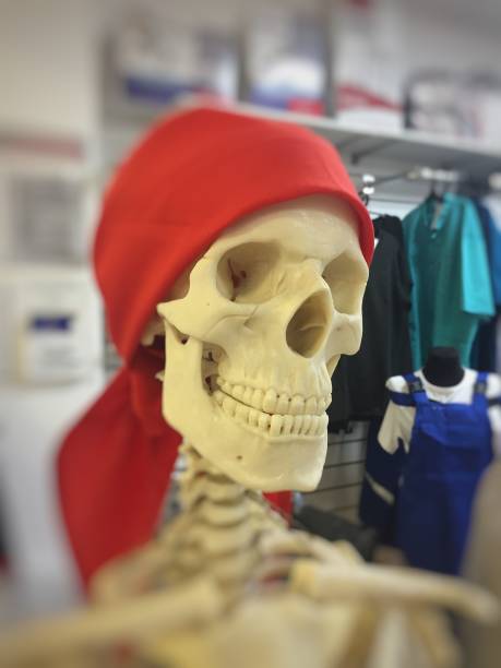 istock Portrait of a skull in a red scarf 1208200519