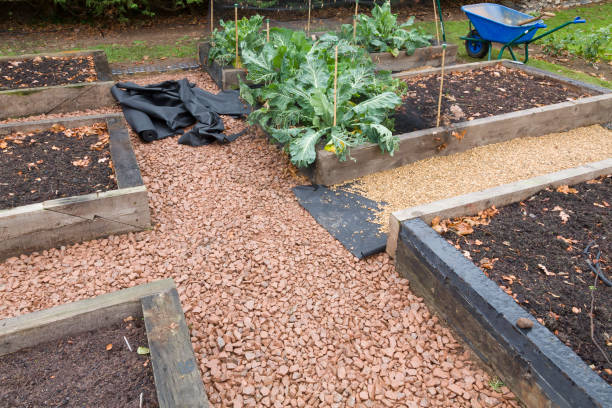 istock Laying weed control fabric and gravel path in a garden, UK 1208200619