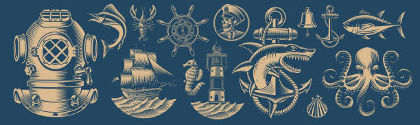 illustrazioni stock, clip art, cartoni animati e icone di tendenza di set di elementi di progettazione vettoriale per tema nautico - capitano di squadra