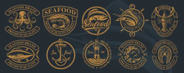 Vector illustration of The biggest bundle of vintage illustrations for seafood theme.