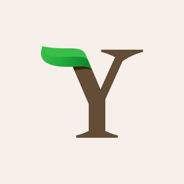 ökologie y serif buchstaben logo mit grünem blatt. - letter y alphabet wood typescript stock-grafiken, -clipart, -cartoons und -symbole