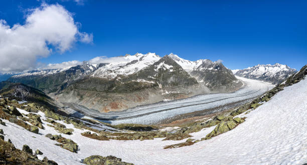 panorama lodowca aletsch w pobliżu bettmeralp w alpach szwajcarskich w słoneczny dzień i błękitne niebo - bettmerhorn zdjęcia i obrazy z banku zdjęć