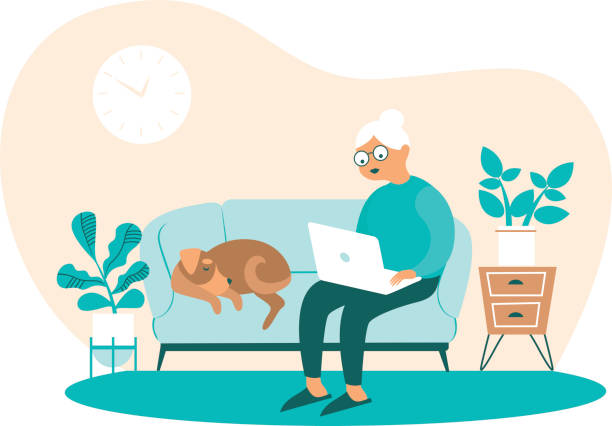 Senior Woman at home with Laptop in Hands Senior Woman sit on sofa at home with Laptop in Hands Communicating in Internet Cartoon Flat Vector Illustration senior adult illustrations stock illustrations
