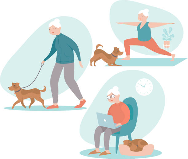 Positive senior woman activities Set of senior woman in different situations. Senior woman activities - walking dog, browsing internet on laptop, doing yoga. flat vector character $69 stock illustrations