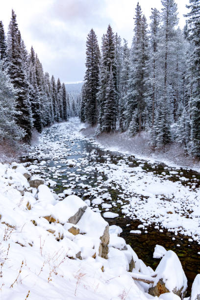 istock Idaho wilderness river in winter with snow on the ground 1208205788