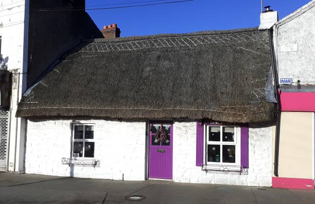 cottage di paglia - republic of ireland irish culture cottage door foto e immagini stock