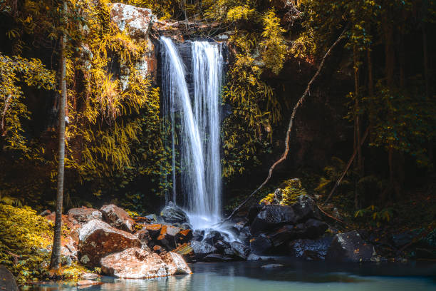 istock Curtis Falls on Tamborine Mountain in autumn 1208208373