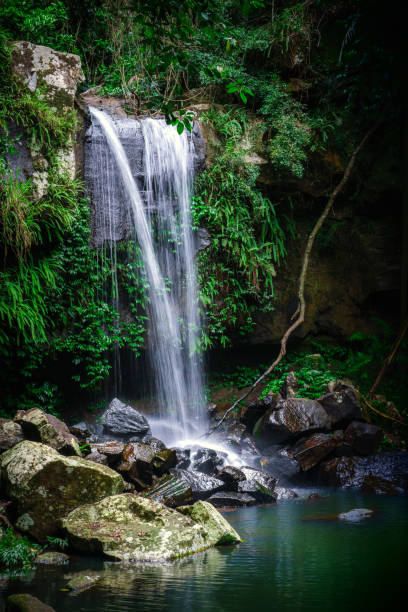 istock Curtis Falls on Tamborine Mountain 1208208456