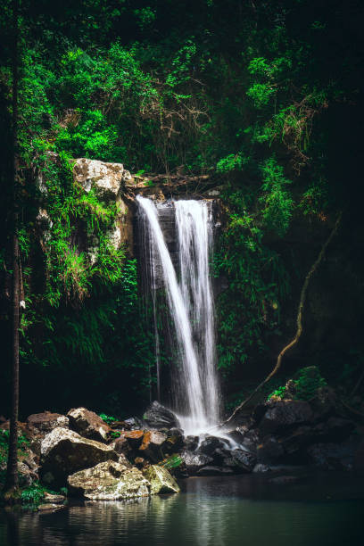 istock Curtis Falls on Tamborine Mountain 1208208505