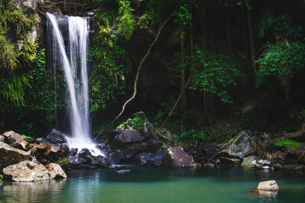 istock Curtis Falls on Tamborine Mountain 1208208522
