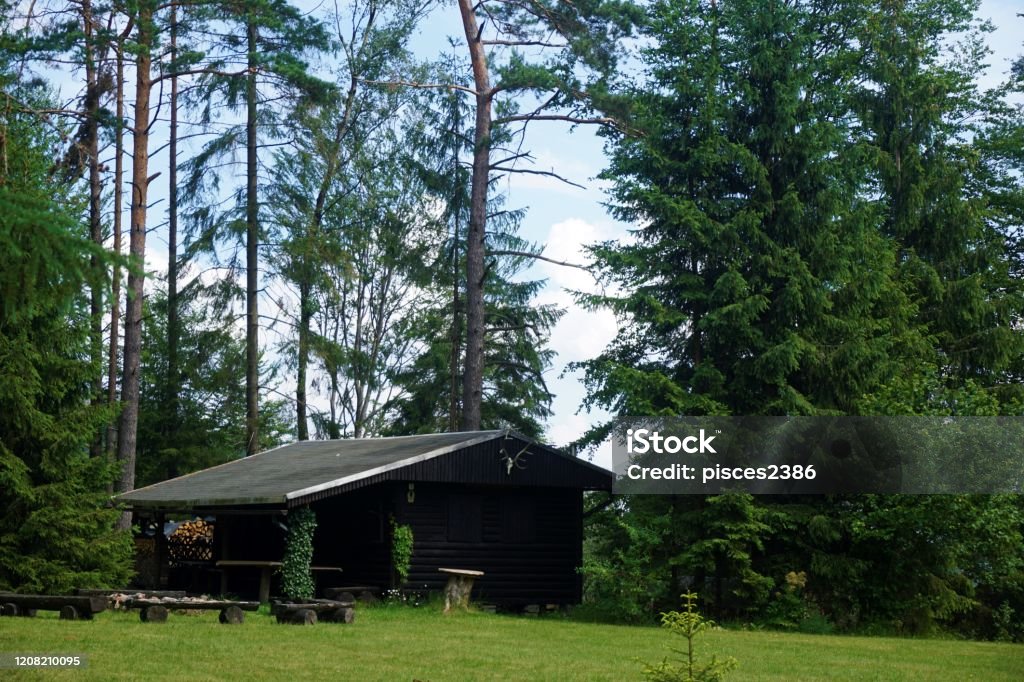 Beautiful log cabin in the forest on a hill near Sebnitz-Ottendorf Beautiful log cabin in the forest on a hill near Sebnitz-Ottendorf, Germany Animal Body Part Stock Photo
