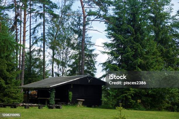 Beautiful Log Cabin In The Forest On A Hill Near Sebnitzottendorf Stock Photo - Download Image Now