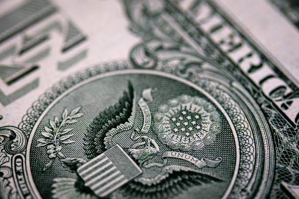 istock cash paper banknote closeup dollar 1208210827