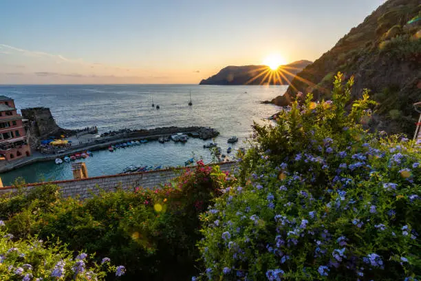 Photo of View from Vernazza during sunset with flowers in the foreground at Cinque Terre with blue sky