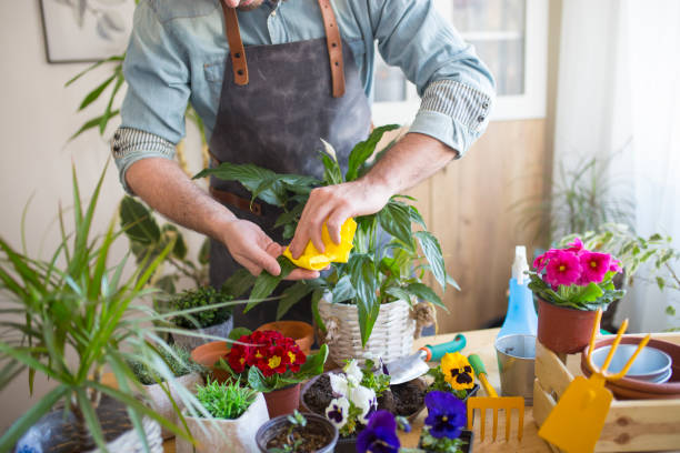 istock Taking good care of my plants 1208212359