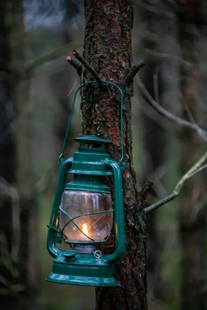 An oil lamp hung on a branch in the forest. The old method of lighting routes in the forest. Spring season.