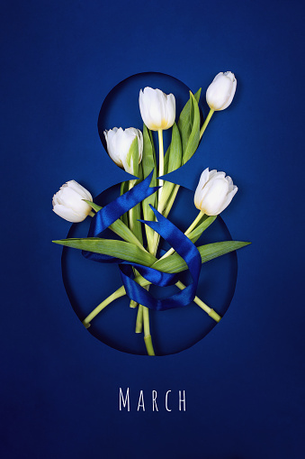 Postcard for The Eighth of March. Five white tulips in number eight. Tied with a ribbon on a blue background