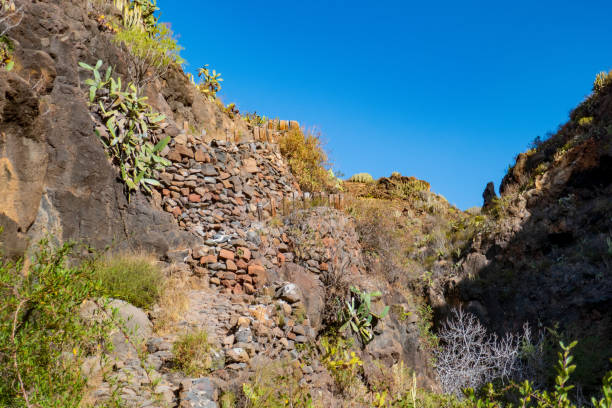 istock Mountain landscape in Tenerife, Spain, in summer 1208215973
