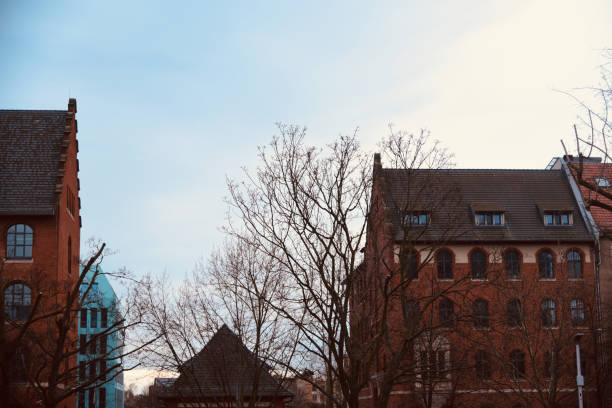 istock Traditional bare trees around an urban area in Berlin 1208216378