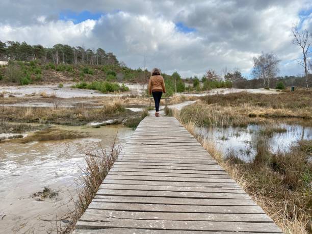 istock Woman walking in the  moor 1208217642
