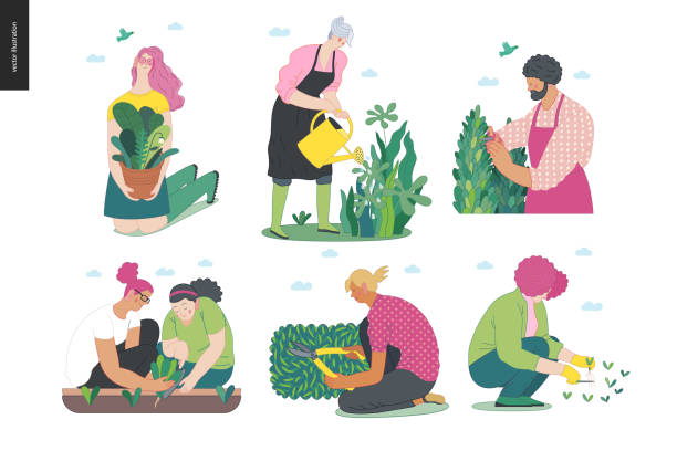 원예 인원 세트, 봄 - seedbed stock illustrations