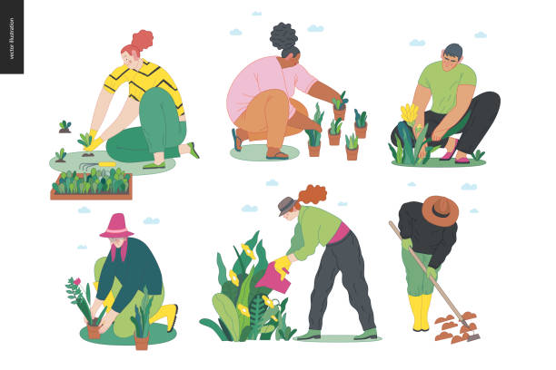 ilustrações de stock, clip art, desenhos animados e ícones de gardening people set, spring - seedbed