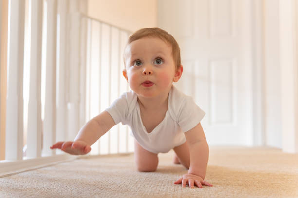 istock Baby boy 9 months old crawling on floor 1208222881