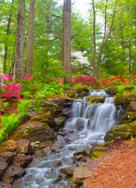 istock Waterfall & Spring Flowers-Azalea Walk Reserve-Gibson County Indiana 1208226495