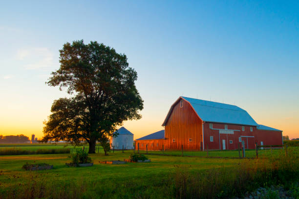 red barn en sunrise-cass county indiana - farm barn fotografías e imágenes de stock