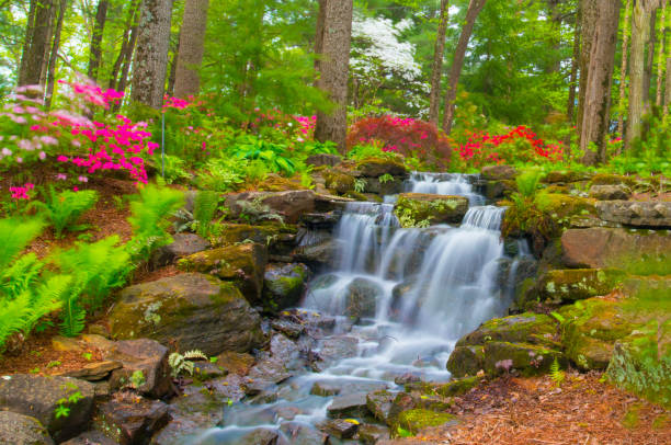 istock Waterfall & Spring Flowers-Azalea Walk Reserve-Gibson County Indiana 1208226763