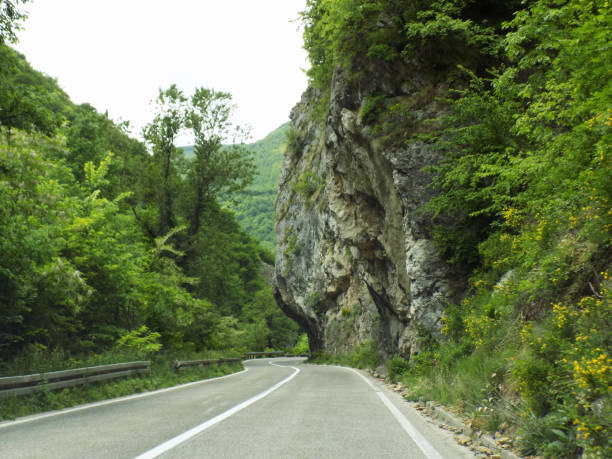 istock Road trip through the woodland 1208235507