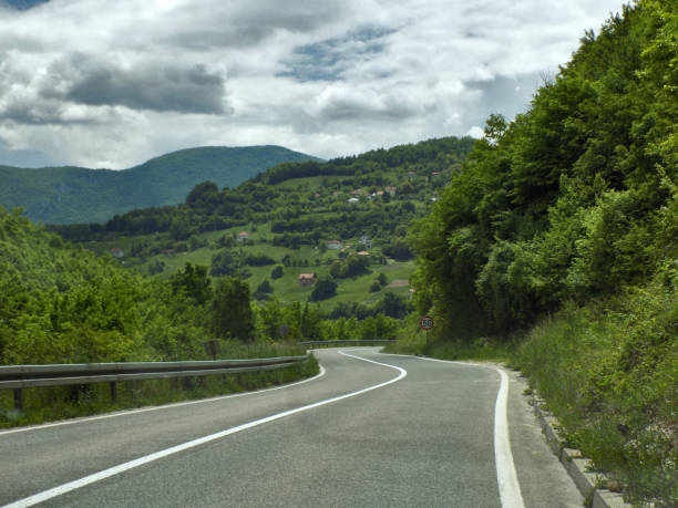 istock Road trip through the woodland 1208235510