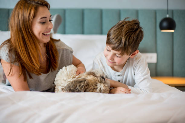 istock Mother taking a nap with her son. 1208235584
