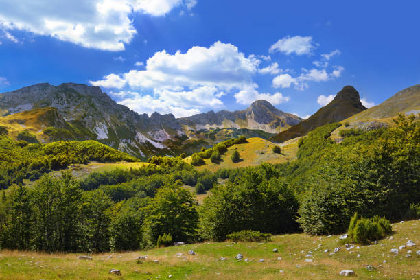 istock National mountains park Durmitor - Montenegro 1208236976