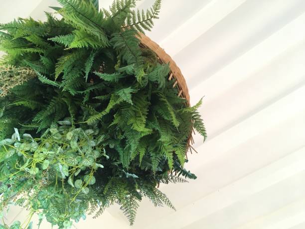 istock green leaf ornaments hanging from the ceiling 1208239239