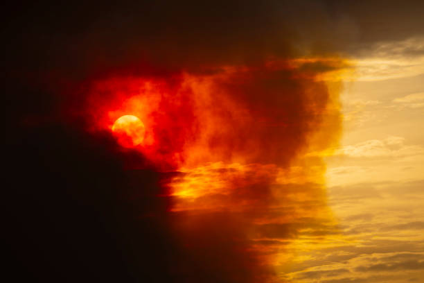 istock Forest Fire smoke across a valley in The Blue Mountains at sunset in Australia 1208239324