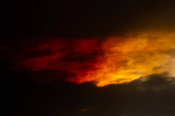 During the severe bush fire season in Australia
