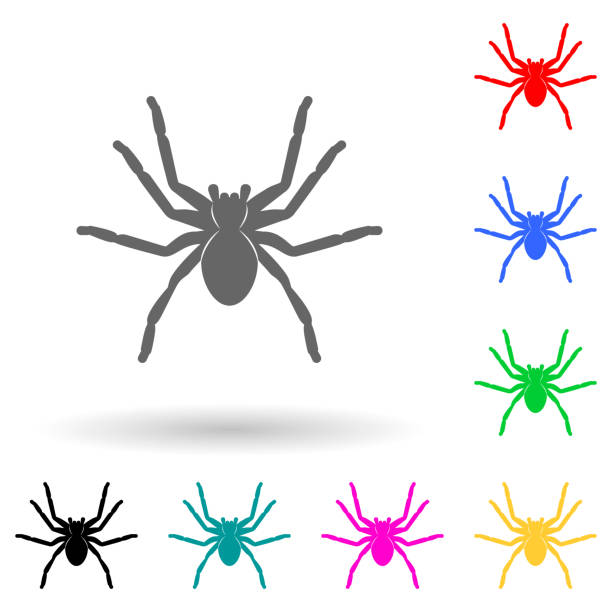 spider tarantula multi color style icon. Simple glyph, flat vector of insect icons for ui and ux, website or mobile application spider tarantula multi color style icon. Simple glyph, flat vector of insect icons for ui and ux, website or mobile application on white background blue tarantula stock illustrations