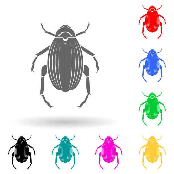 beetle goliath multi color style icon. Simple glyph, flat vector of insect icons for ui and ux, website or mobile application beetle goliath multi color style icon. Simple glyph, flat vector of insect icons for ui and ux, website or mobile application on white background blue tarantula stock illustrations