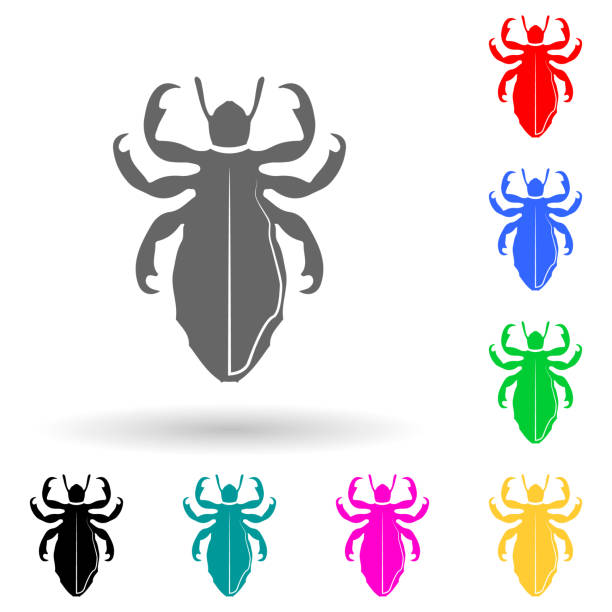 illustrations, cliparts, dessins animés et icônes de poux icône de style multi-couleurs. glyphe simple, vecteur plat d’icônes d’insectes pour ui et ux, site web ou application mobile - ectoparasite