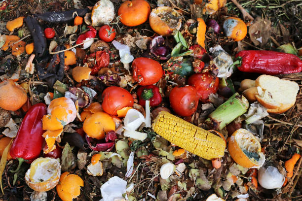отбрасываемая и испорченная пища на мусорной куче - мусор стоковые фото и изображения