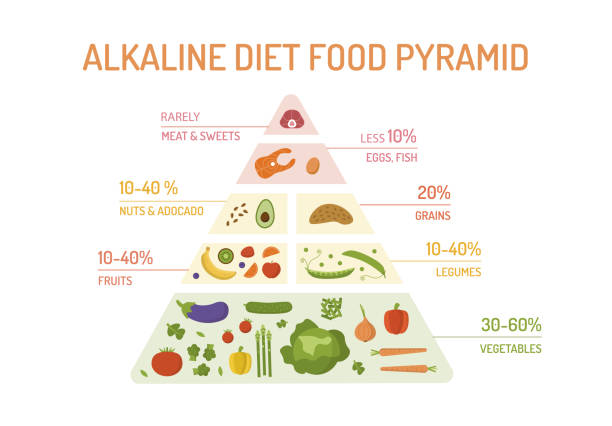 ilustrações, clipart, desenhos animados e ícones de pirâmide alimentar de dieta alcalina - alcalino