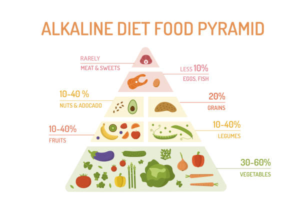 Alkaline diet food pyramid The food pyramid of the alkaline diet. Fruits, vegetables, grains, legumes, meat and dairy products. Flat design. Vector illustration. alkaline stock illustrations