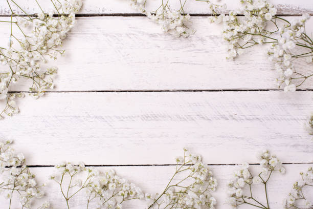 istock round frame wreath pattern with gypsophila flower, pink flower buds, branches and leaves isolated on white background. flat lay, top view 1208245900