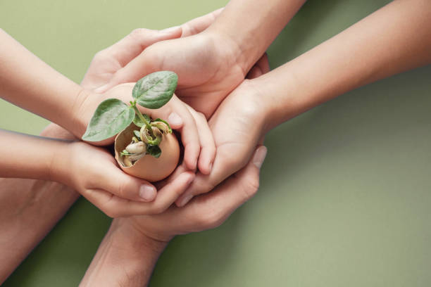 istock hands holding seedling in eggshells, montessori education , CSR Corporate social responsibility, Eco green sustainable living concept,zero waste, plastic free,world food day, responsible comsumption 1208247390