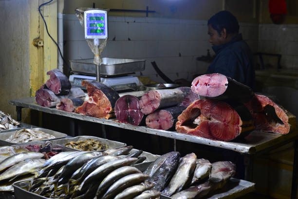сырые стейки из тунца на рыбном рынке - tuna tuna steak raw bluefin tuna стоковые фото и изображения