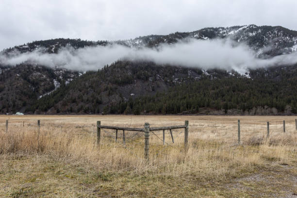 zabytkowe drewniane ogrodzenie dla bydła w zarośniętej trawie z mgłą okrytą pasmo górskie w tle - mountain montana mountain peak mountain range zdjęcia i obrazy z banku zdjęć